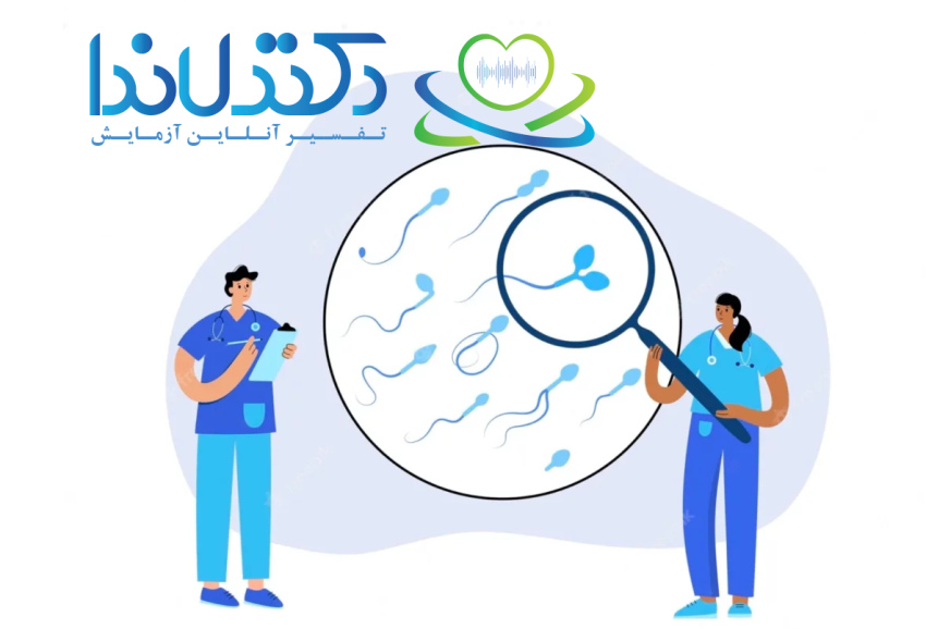بررسی و تفسیر آزمایش اسپرم با میکروسکوپ برای تعیین تعداد و کیفیت اسپرم