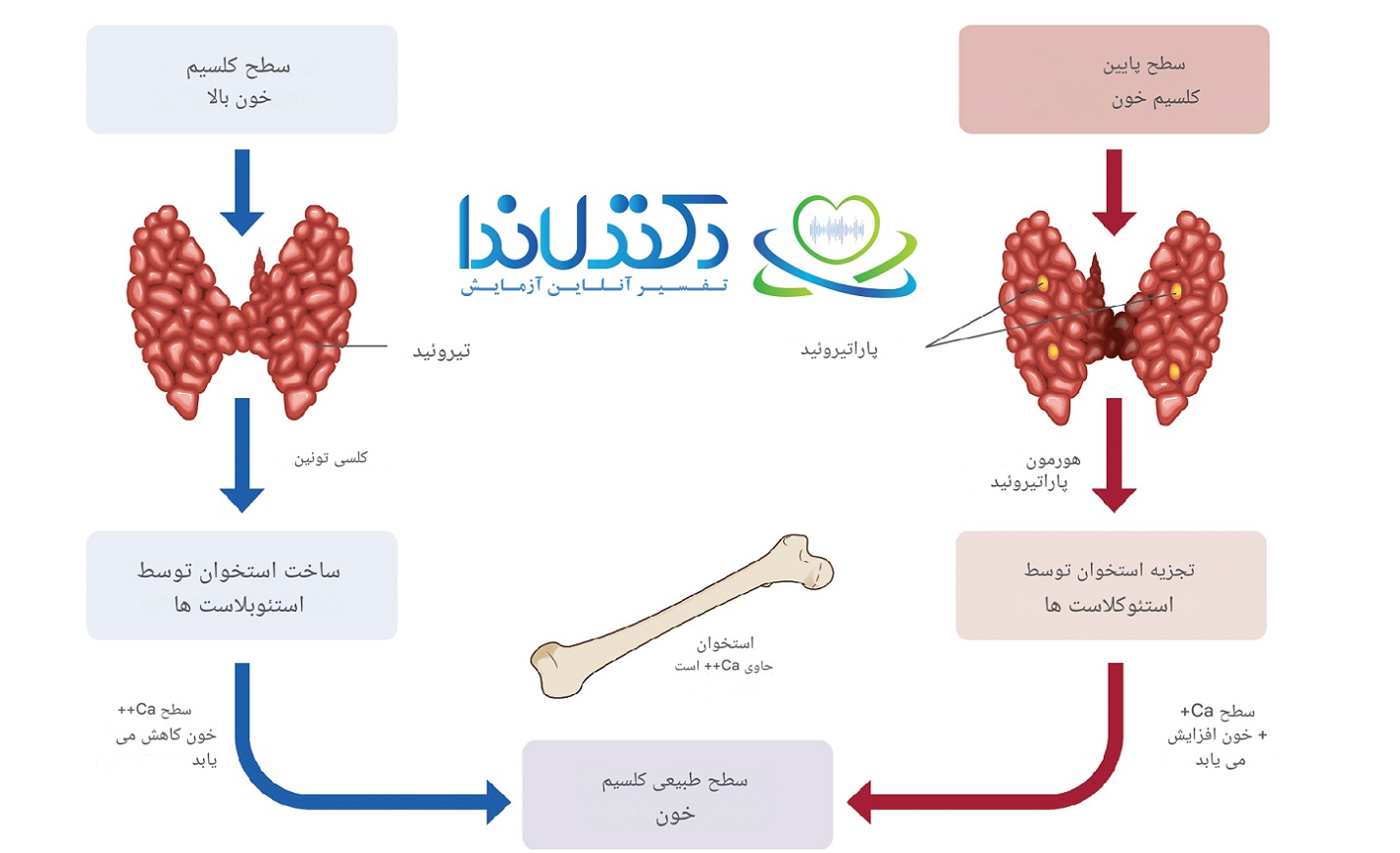 خواندن جواب آزمایش کلسیم