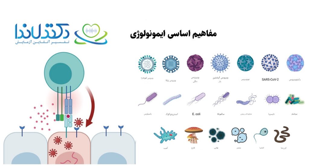 ایمونولوژی