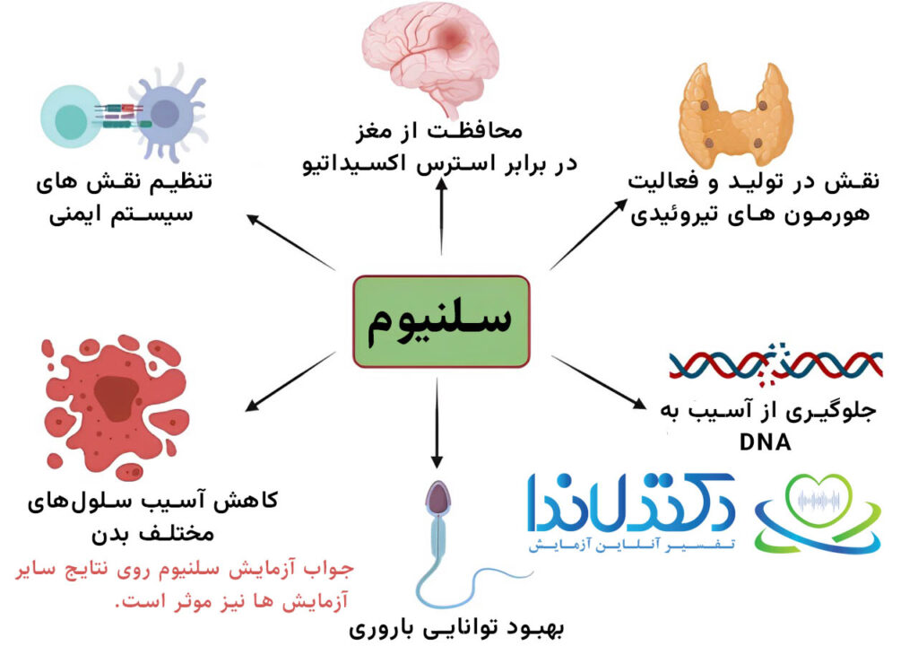 تفسیر آزمایش سلنیوم دکتر لاندا