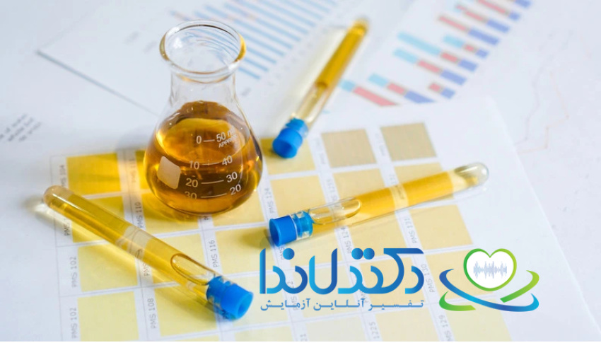 نمونه‌های ادرار جمع‌آوری شده برای انجام آزمایش‌های تشخیص سلامت و ارزیابی عملکرد کلیه‌ها مورد استفاده قرار می‌گیرند.