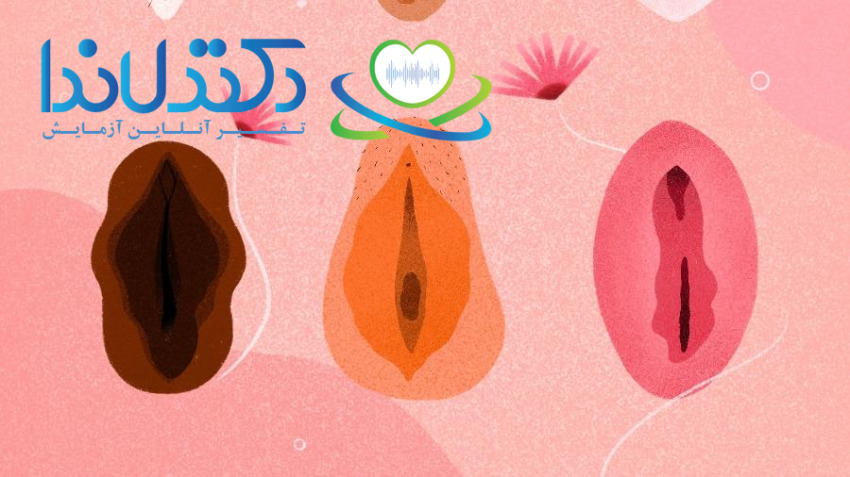 تنوع طبیعی رنگ و شکل واژن و لابیا در زنان