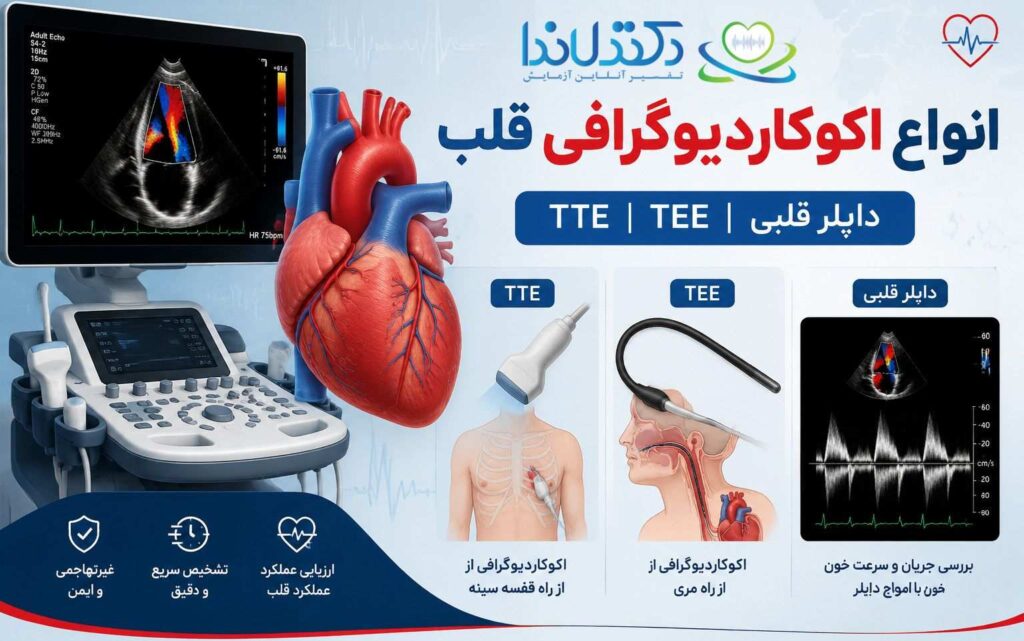 اینفوگرافیک انواع اکوکاردیوگرافی قلب بزرگسالان شامل TTE، TEE و داپلر قلبی درباره تشخیص نارسایی و عملکرد قلب.
