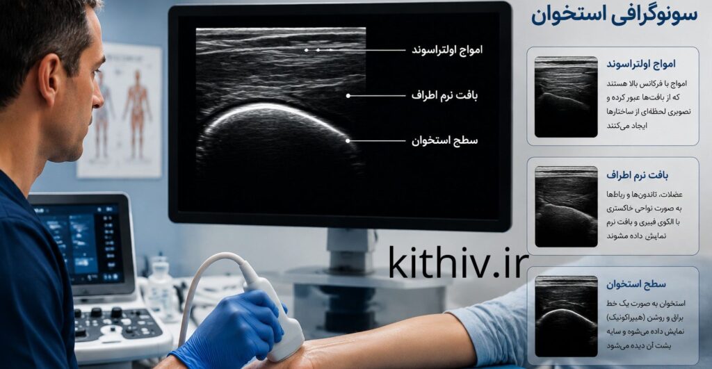 آناتومی سونوگرافیک استخوان؛ سونوگرافی به پزشک اجازه می‌دهد تا علاوه بر سطح استخوان، وضعیت عضلات، تاندون‌ها و رباط‌های اطراف را به صورت زنده و دقیق پایش کند.