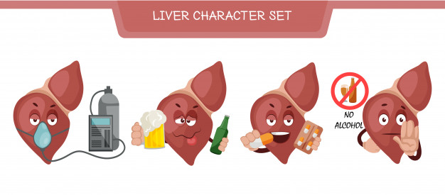 illustration-liver-character-set_262129-55